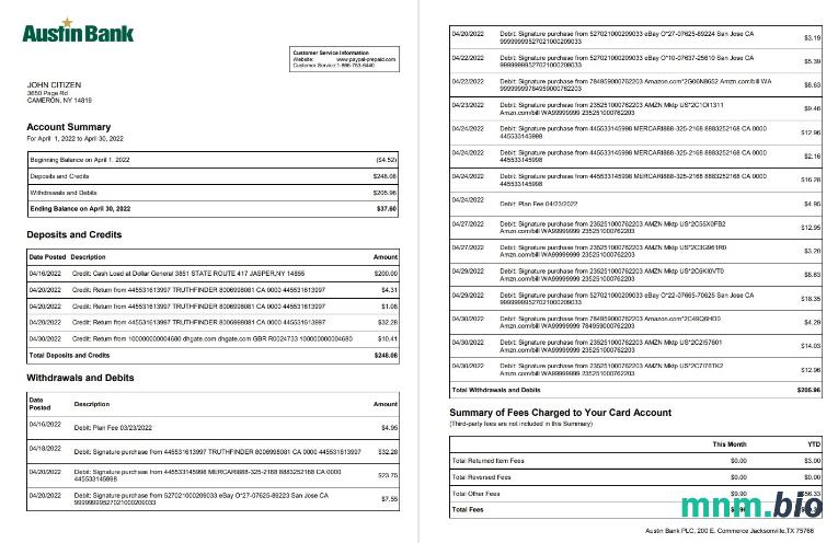 USA Aspiration wyciąg bankowy szablon Worda i PDF, 2 stronas